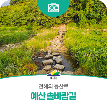 예산군, 천혜의 등산로 ‘솔바람길’