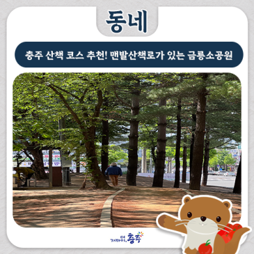 충주 산책 코스 추천! 맨발산책로가 있는 금릉소공원 힐링 나들이