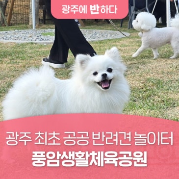 광주 최초 공공 반려견 놀이터, 풍암생활체육공원