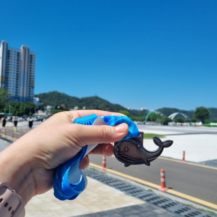 2026 제1회 울산고래마라톤 참가후기
