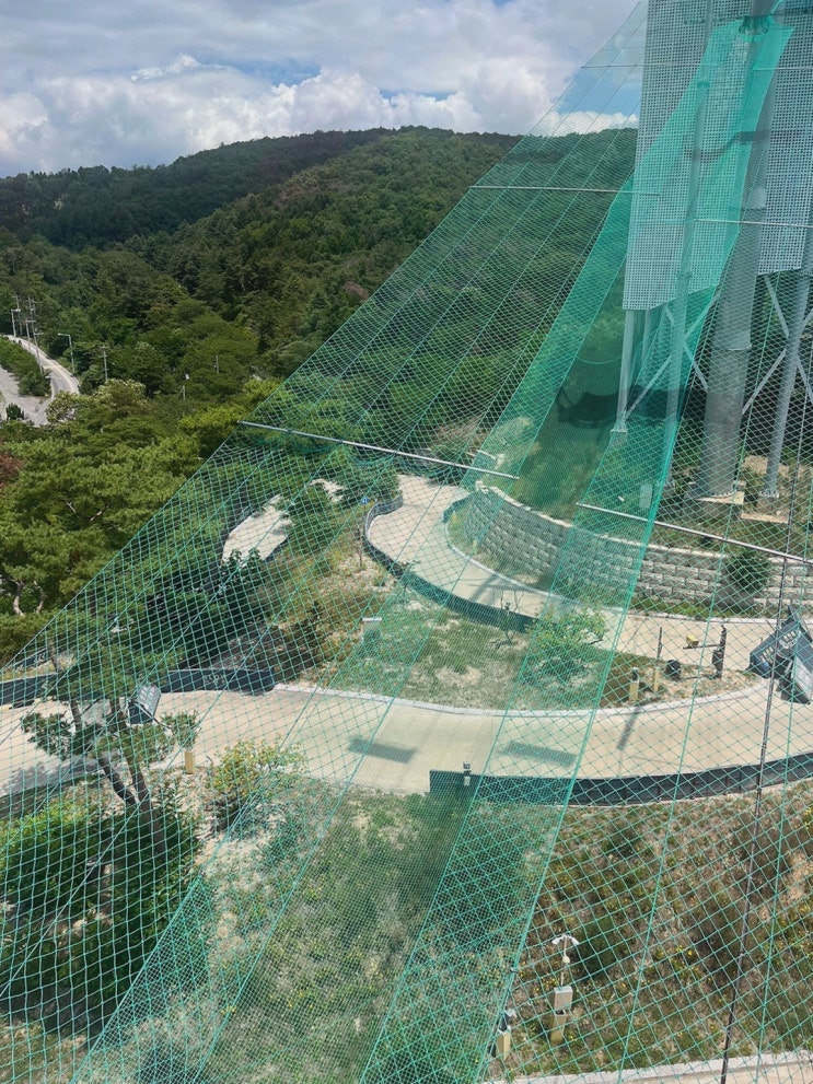 경주루지월드 경북 루지 체험 추천, 보문호 보며 신나게 속도 만져요