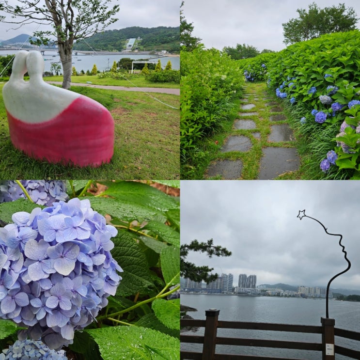 전남 수국 명소 여수 장도 걸어서 가는 섬여행