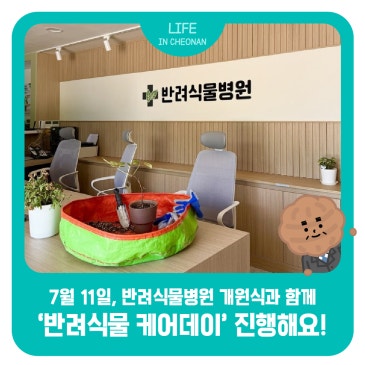천안시 반려식물병원 개원&반려식물 케어데이 ― 7월 11일, 무료 모종나눔·심기체험