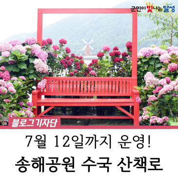 대구 달성군 여름 명소 수국의 종류를 볼 수 있는 송해공원