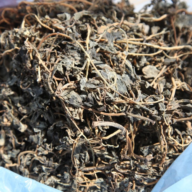 쇠비름 세척과 손질 보관법 및 아린 맛 줄여 먹는방법 5가지