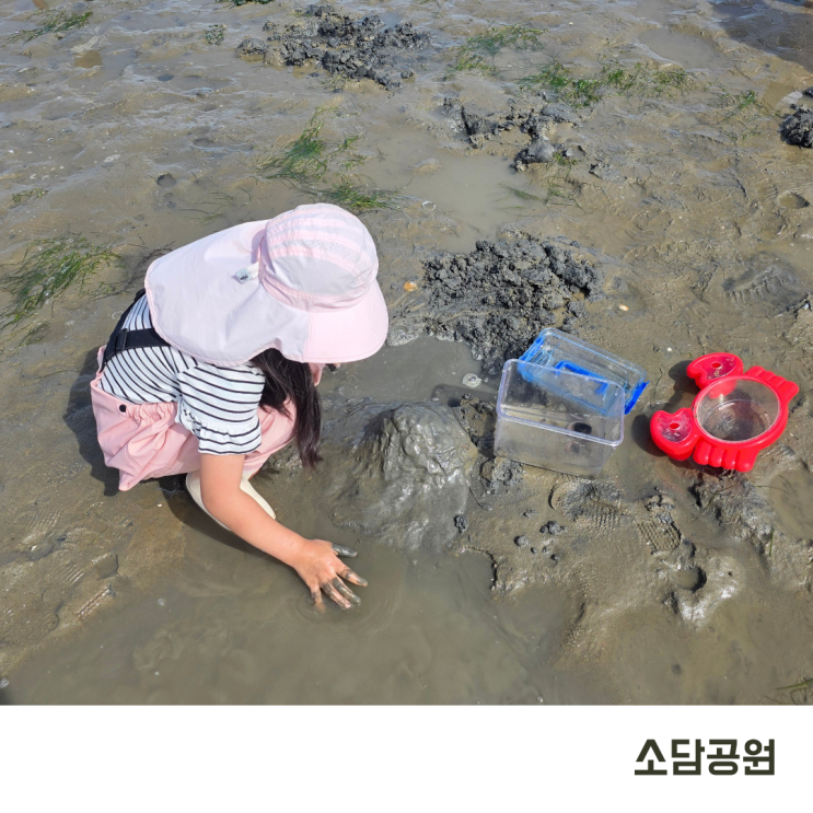 부산 아이와가볼만한곳 무료 갯벌체험 해루질 명소 명지 소담공원