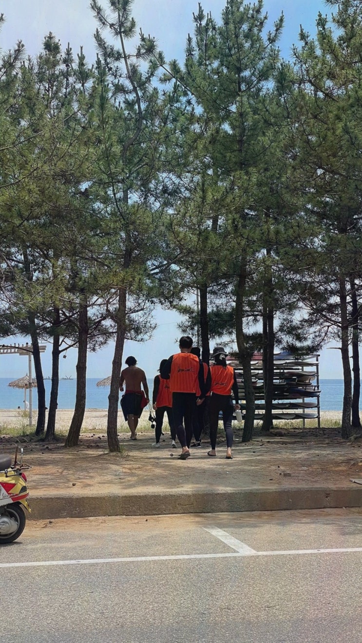 인구해변가족서핑, 220평 체류 서핑이 궁금하신가요? 인구서프