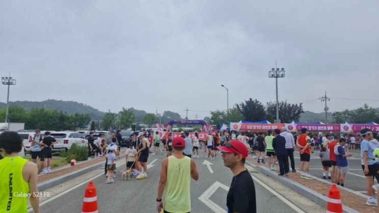 2026 전마협 하계  훈련 마라톤