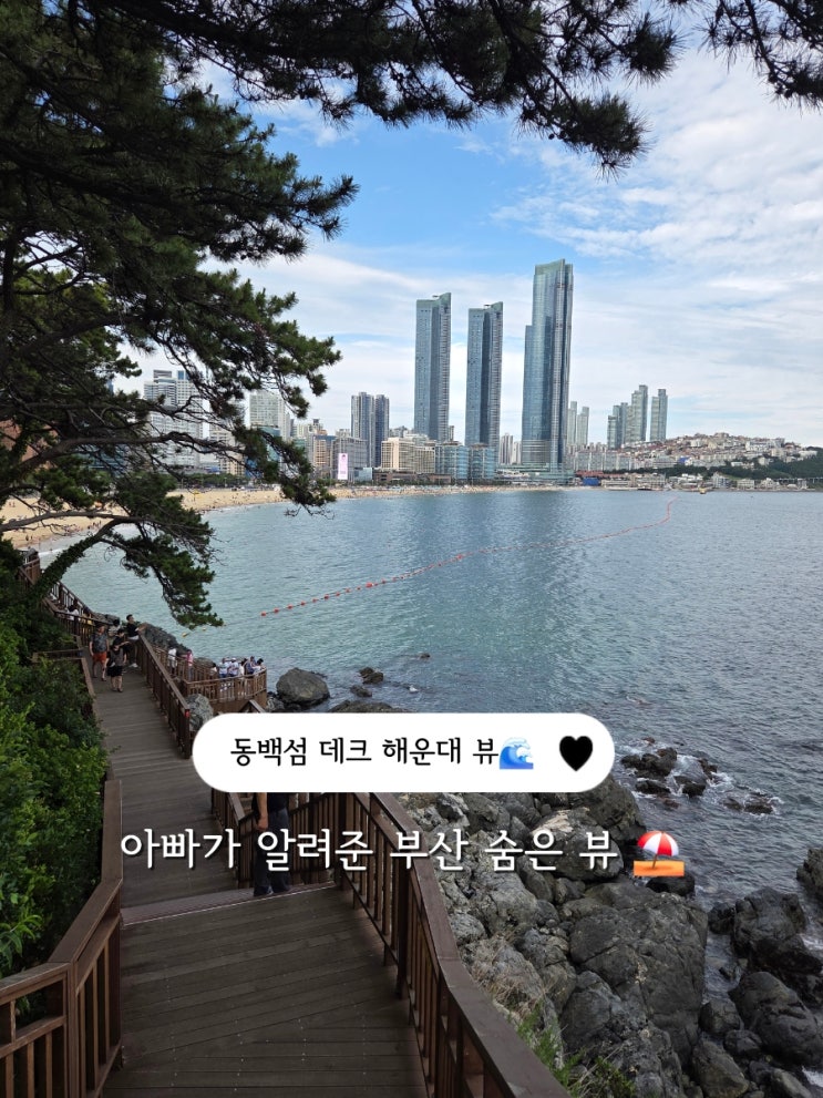 부산 동백섬 데크뷰 해운대 야경 코스 | 누리마을 + 인어상 + 해변 산....