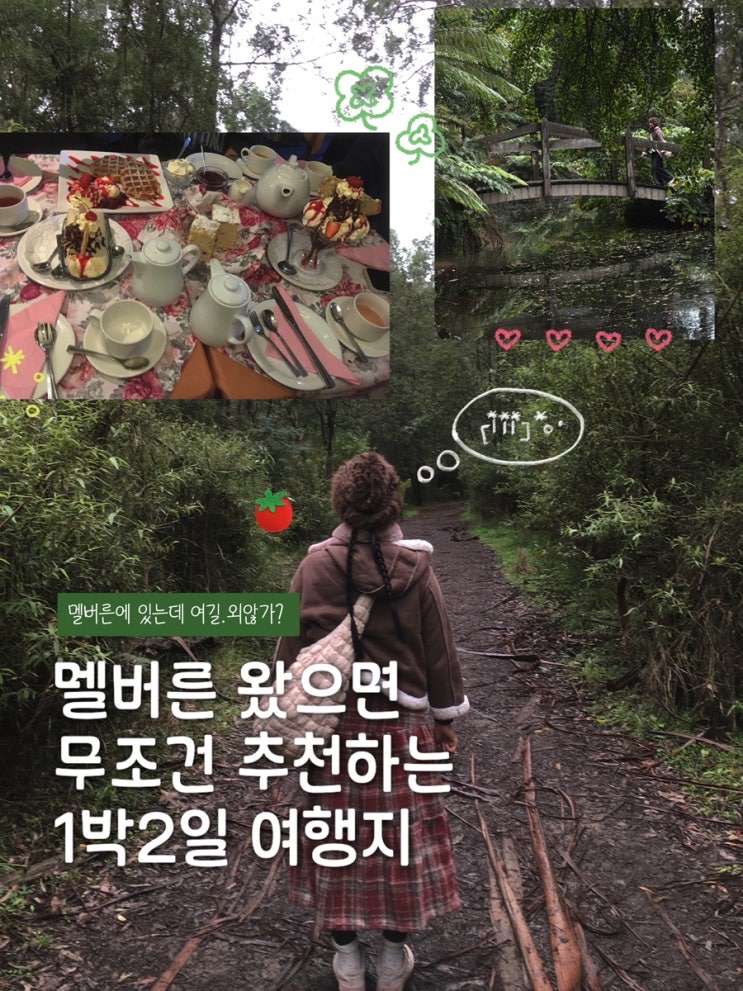 멜버른 근교 단데농(Dandenong) 1박 2일 여행기 (1) : 단데농마켓/마운트....