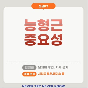 능형근 중요성 네이버 블로그 대표 이미지
