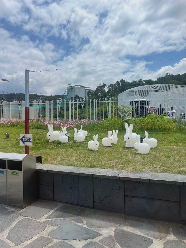 (경주루지월드) 경주 보문단지 주변 데이트 장소 추천, 첫 루지 체험 감동
