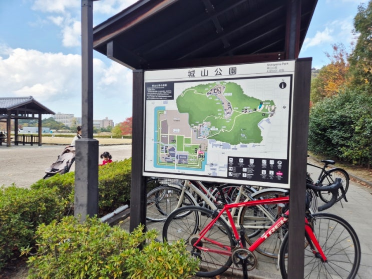 마쓰야마여행 시로야마 공원 마쓰야마성 근처 산책하기