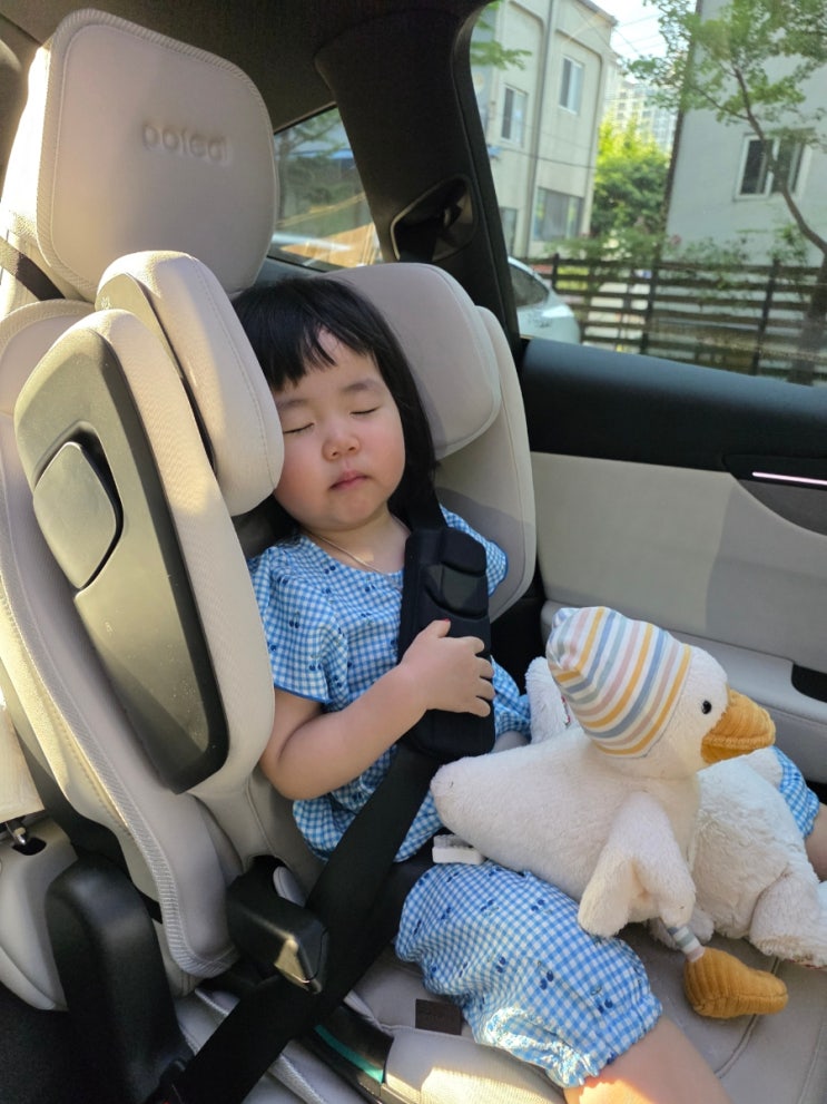 28个月宝宝不再抗拒！布莱克斯Kidfix Pro Lux儿童座椅真实体验