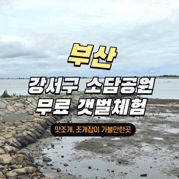 부산 소담공원 무료 갯벌체험... 맛조개, 조개잡이 가볼만한곳