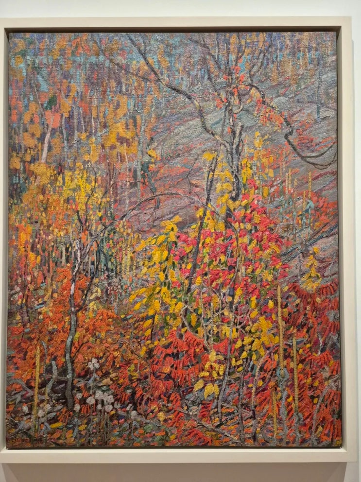 캐나다 Canada 토론토 Toronto, 온타리오 미술관 Art Gallery of Ontario, 무료....