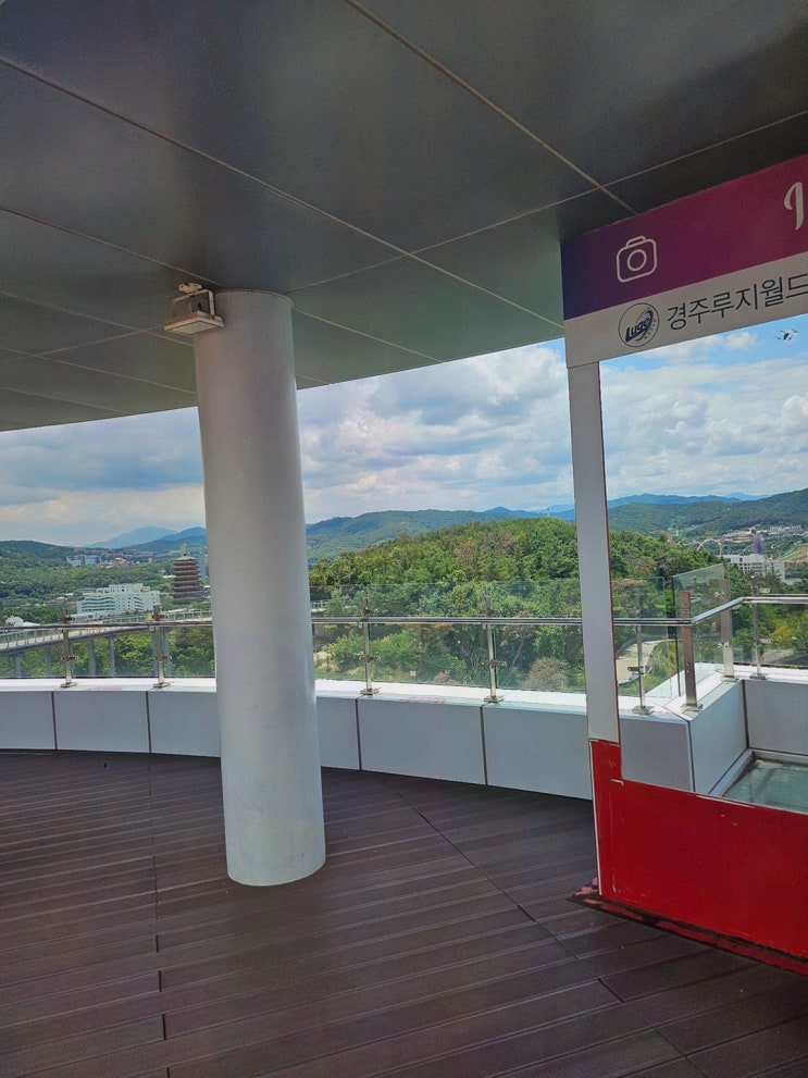 [경주루지월드] 경주 핫플 추천, 아이부터 성인까지 짜릿한 루지