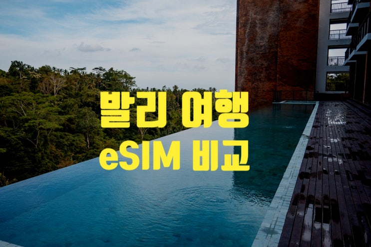 인도네시아 발리 이심비교 esim 추천발리여행 준비물 여행 비용 정리