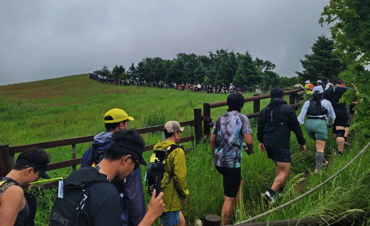 Scenery of the Spindle Trail Run(20km) #4