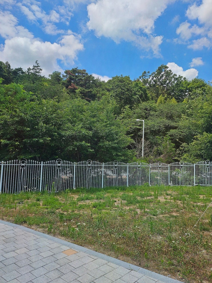 경주 보문단지 핫플 추천 경주루지월드, 첫 탑승 안전교육 스릴