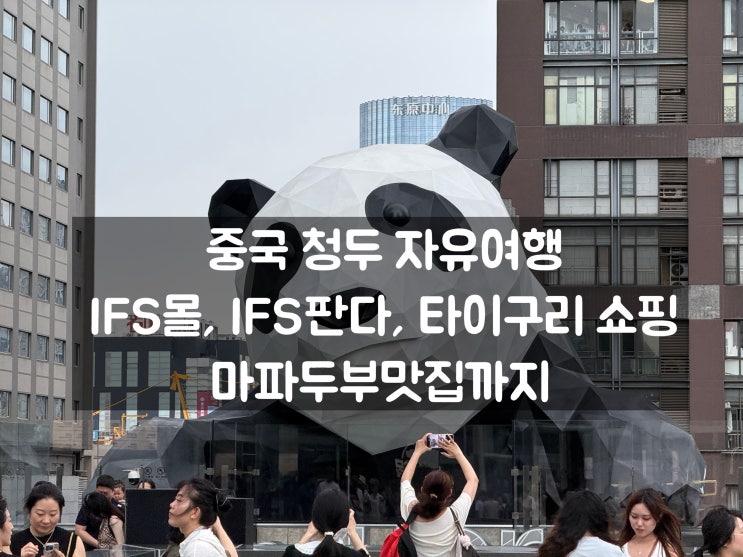 중국 청두 자유여행 | IFS 판다,타이구리,쇼핑,마파두부 맛집까지