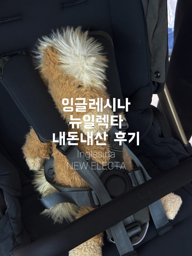내돈내산 절충형유모차｜잉글레시나 일렉타 : 네이버 블로그