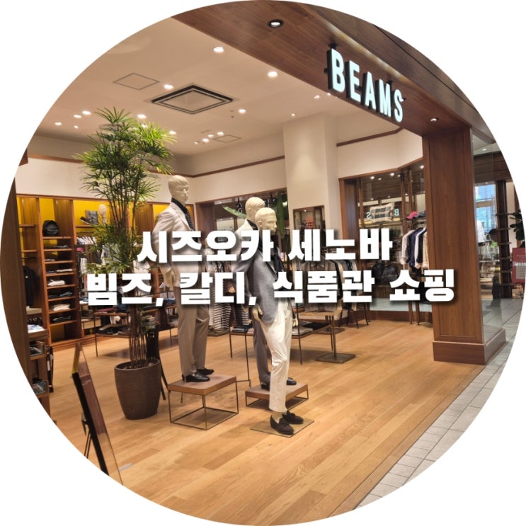 일본 여행_신시즈오카역 세노바 백화점 쇼핑 2탄_ KALDI(칼디), BEAMS(빔....