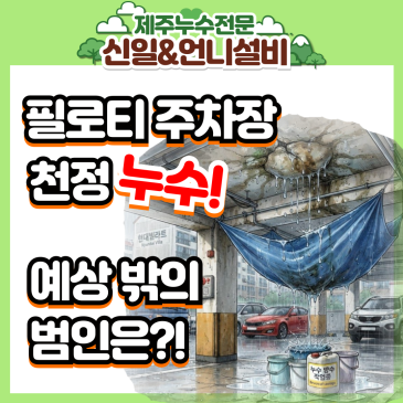 제주시노형동 필로티 주차장, 제주누수 원인은 6층 화장실 벽 속 철근~!