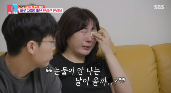 허안나 펫로스 증후군 고백, "혼자 있는 집이 낯설어요"