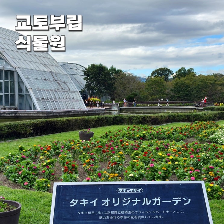 일본 여행 코스 교토부립식물원! 9월 방문후기