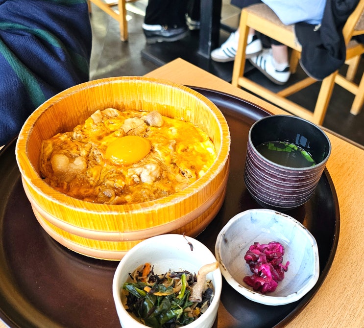 25-11 名古屋 / 21. 사카에 라시크 [토리카이소혼케] - 나고야 오야꼬동