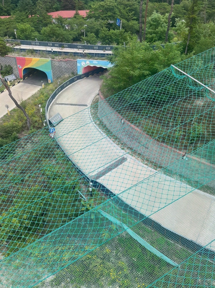 경주 갈만한 곳 추천, 아동도 안심되는 속도체험 경주루지월드