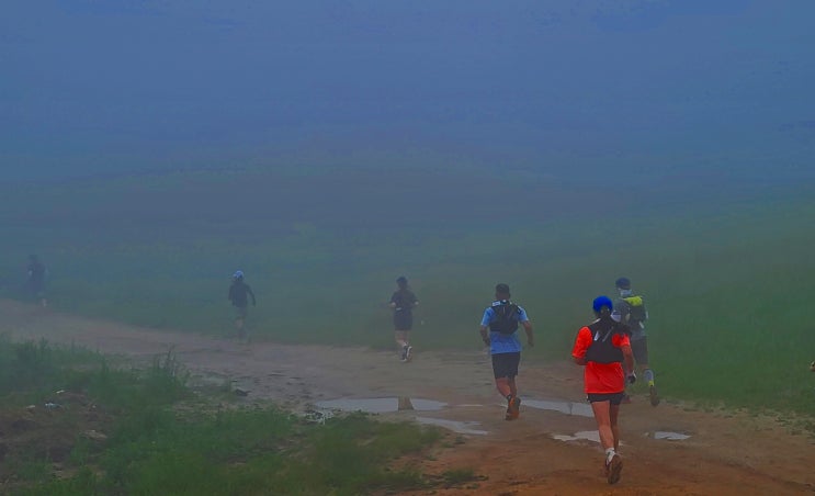 Scenery of the Spindle Trail Run(20km) #6