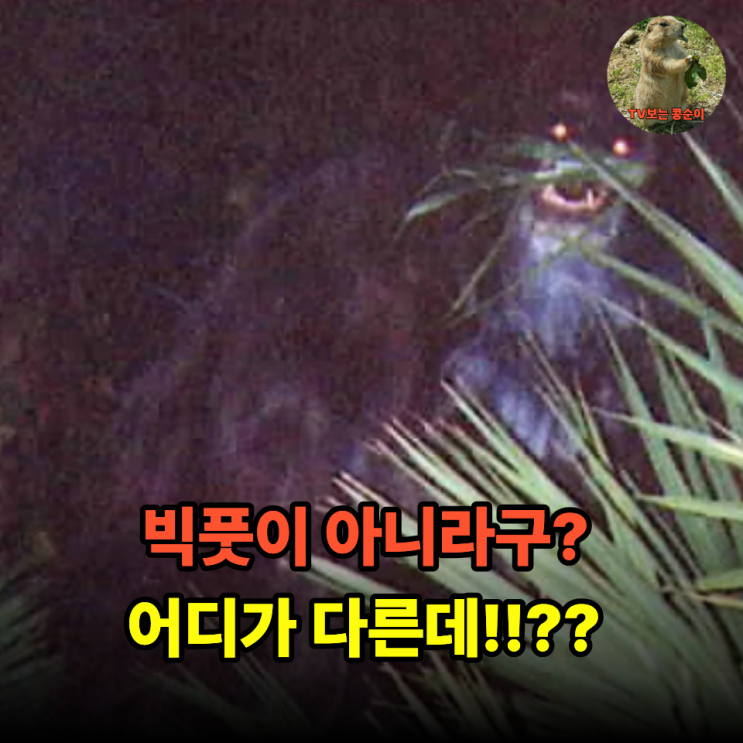 빅풋과 스컹크 에이프, 같은 생물일까 다른 존재일까? : 네이버 블로그