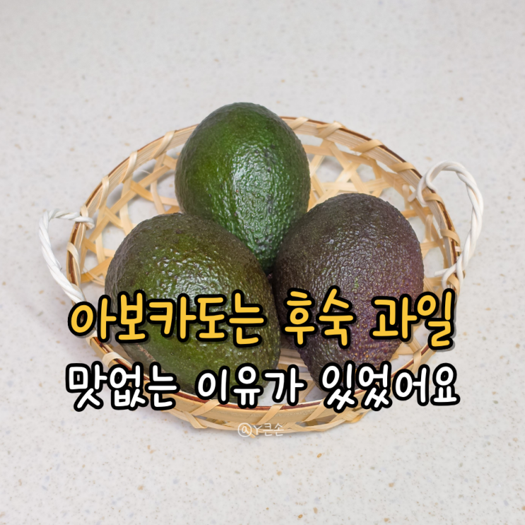 아보카도 후숙, 숙성 익히는법 냉장보관 보관법