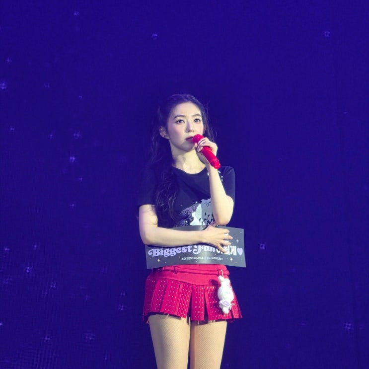 05. : 콘서트 열심히 다닌 달 : 아이린 솔로 콘서트 I-WILL