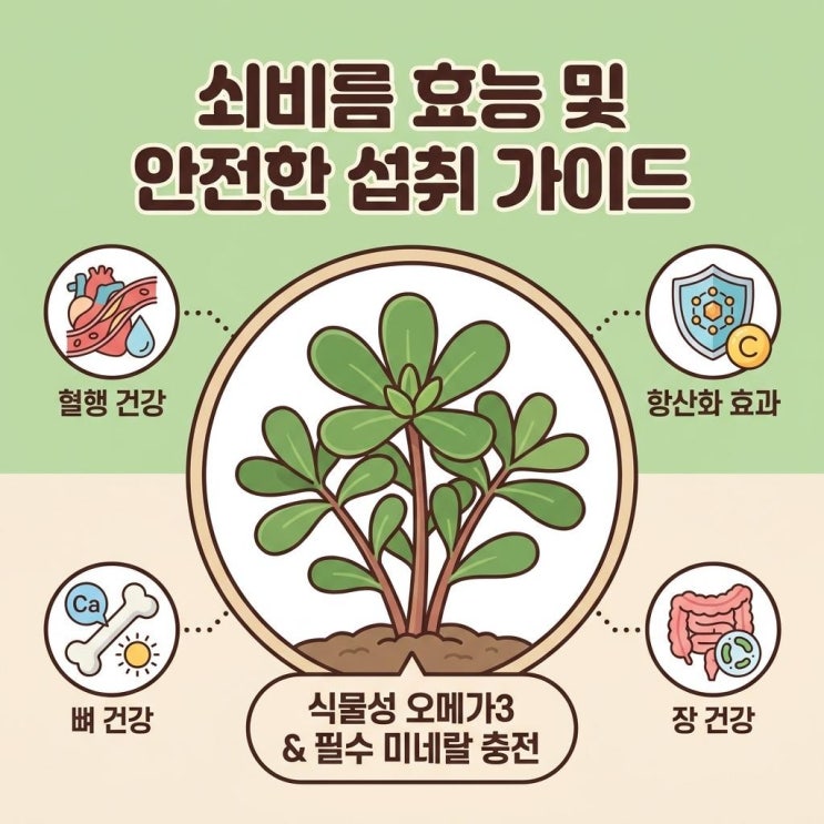 쇠비름 효능과 영양성분, 안전하게 먹는방법 및 주의사항 총정리