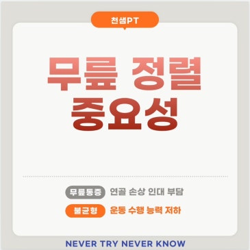 무릎 정렬 중요성 네이버 블로그 대표 이미지
