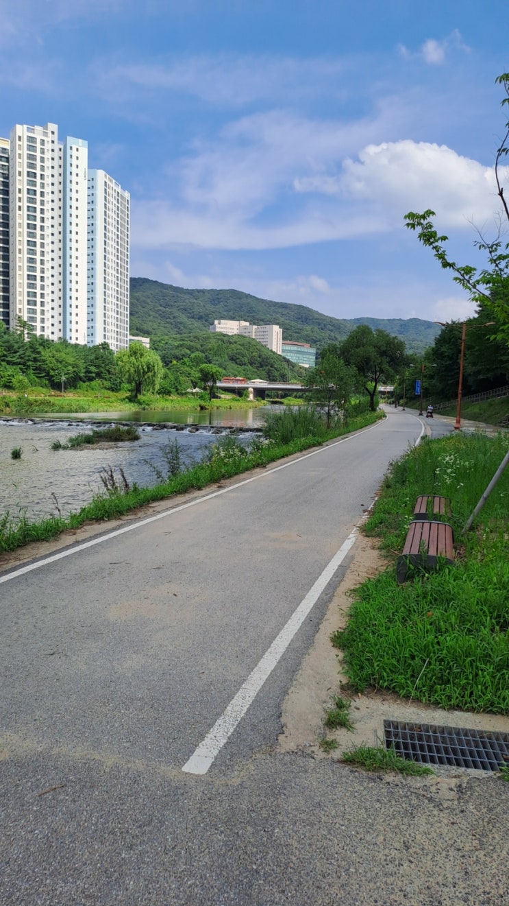 탄천길을 걷다. : 네이버 블로그
