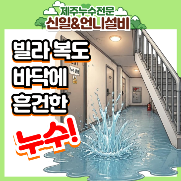 신제주연동 빌라에 제주누수의 원인은? 제주누수탐지전문 신일&언니설비의 완벽 해결기