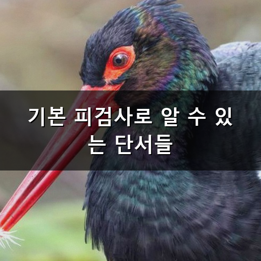 췌장검사방법, 미루다 보면 놓치는 몸속 골든타임