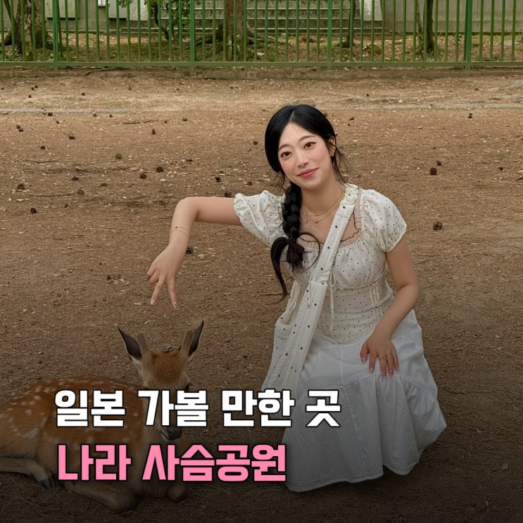 일본 오사카 근교 여행 나라공원 위치 및 오사카 난바역에서 가는법