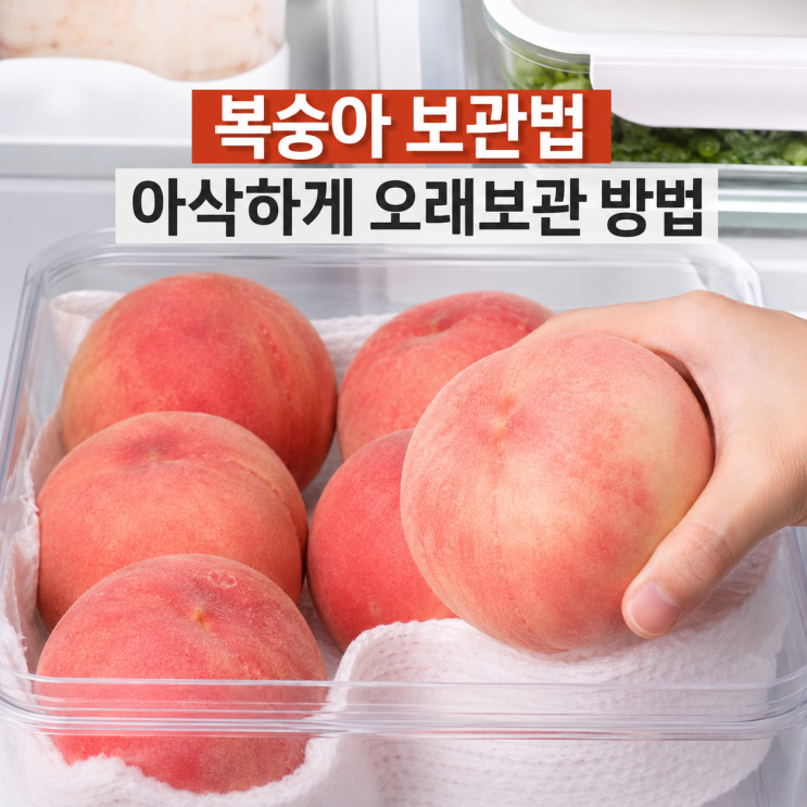 복숭아 보관법, 아삭하게 오래보관방법 싱싱 보관 꿀팁