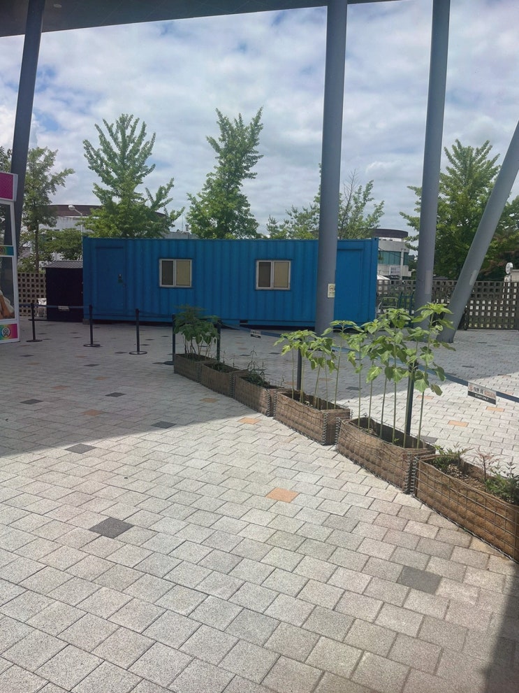 경주 야경 추천, 보문단지 체험형 액티비티 경주루지월드