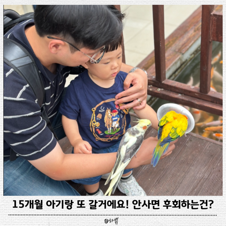 경주 버드파크 15개월 아기와 다녀온 솔직후기 먹이체험 꿀팁까지