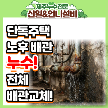 제주도누수 구제주 이도이동 단독주택 노후 배관 전체 교체로 완벽 해결기!