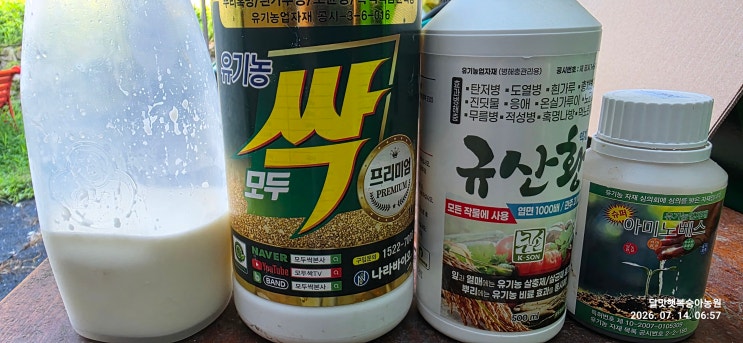 링크 미리보기