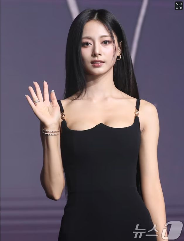 활동은 계속ㅣ새 소속사,향후 행보, TWICE, 솔로 활동, 아이돌
