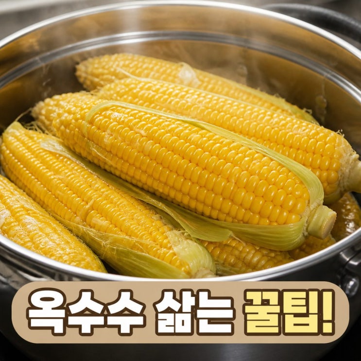 옥수수 삶는 방법! 맛있게 삶는 꿀팁 공유