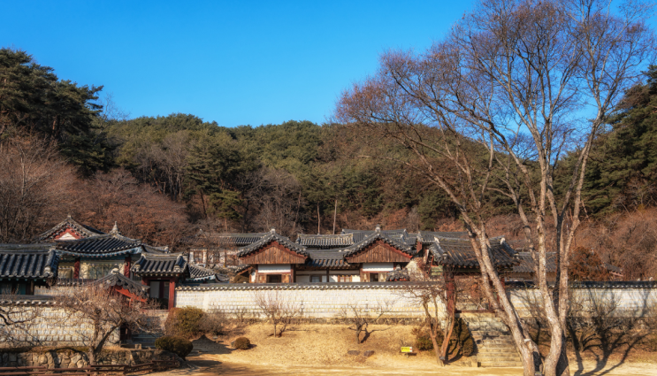 국내여행추천 안동 1박2일 — 하회마을·병산서원·월영교 야경·안....